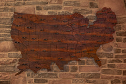 all 50 shots american chestnut
